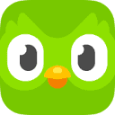 Duolingo Dutch